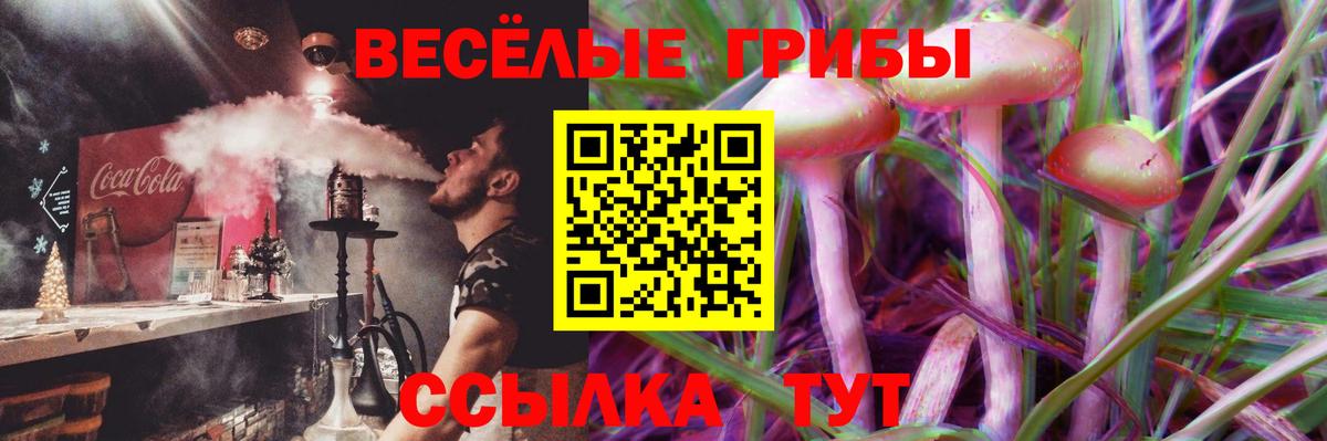 Галлюциногенные грибы Psilocybine cubensis Сосновый Бор